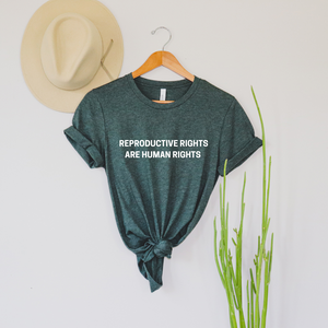 Reproductive Rights are Human Rights shirt